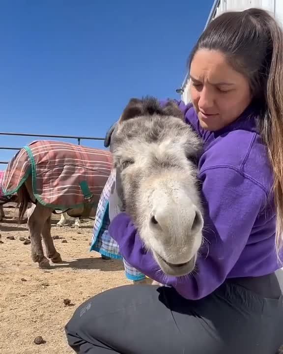 ���� �� ����������, �� ��� �� ����� ������ ����������, �� �� ��� ��� ������ �����������