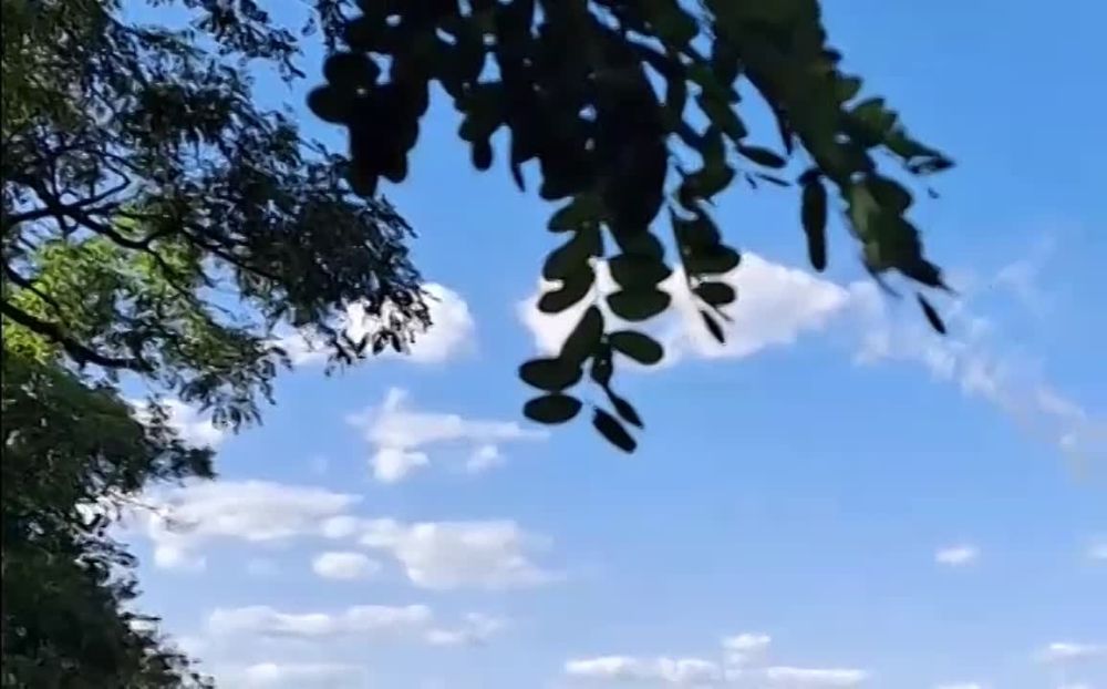 ������� ������ �������� �� ���������� �� ����� ������