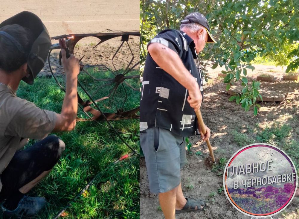 � �������������� ������ ������������ ������ �� ���������������