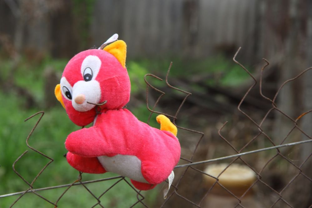 ��������� ����� � ������, ������ �� ��������: ��� ����� ����������� ������ ���������� ������� ����� ����������