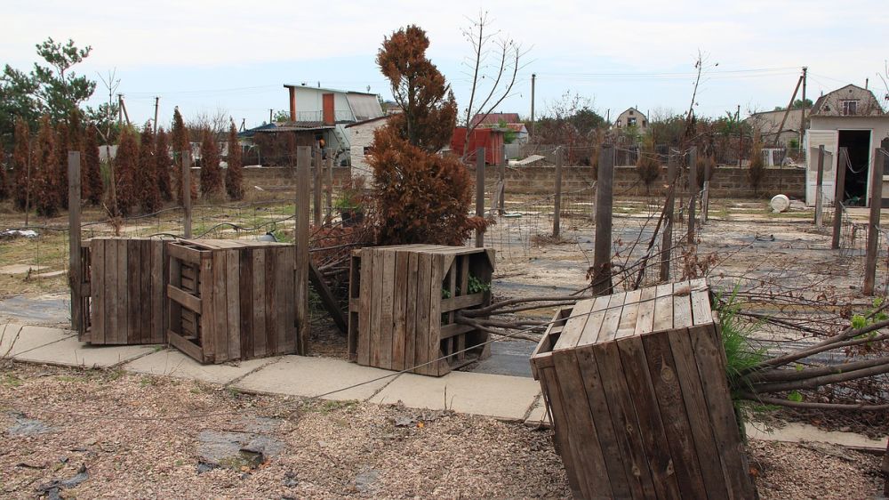 ��������� ����� � ������, ������ �� ��������: ��� ����� ����������� ������ ���������� ������� ����� ����������