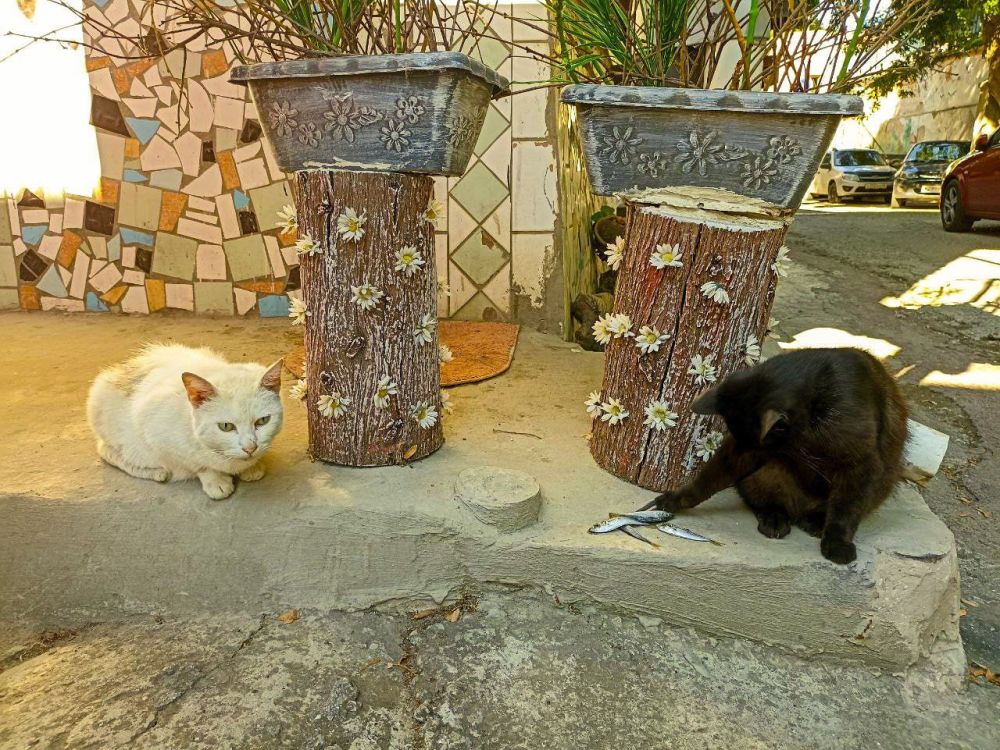 � ������ �����, �����������!