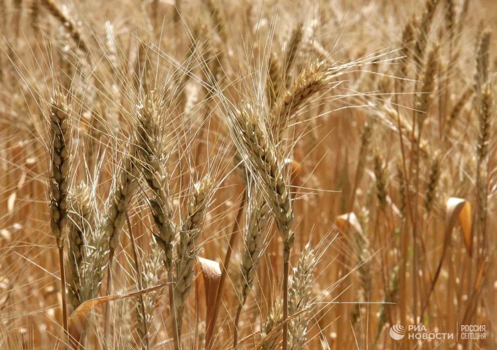 ������ � ����� �������� ������