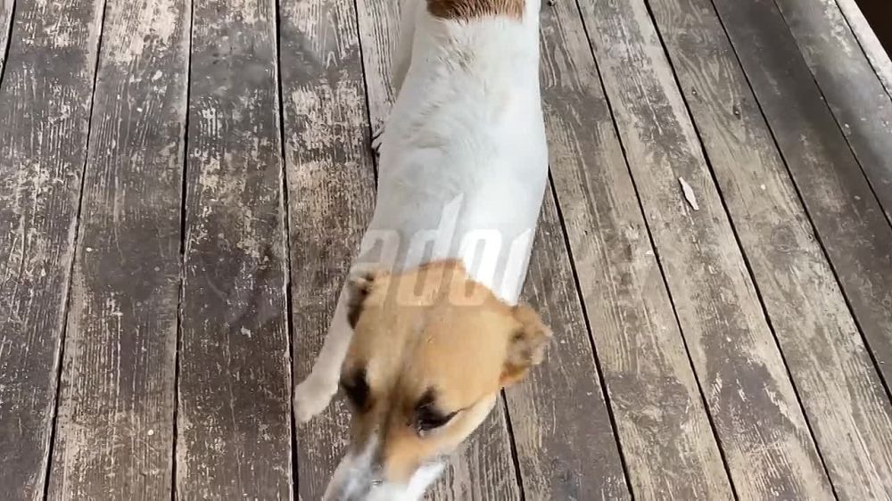 ���� � ���� ���� � ��������, � ���� �� ������������ � ������� ���������� ����������, ���������� ������� ��� ��-�� ����������, � ��������� ����� �� ���� ������ � ������� � ������