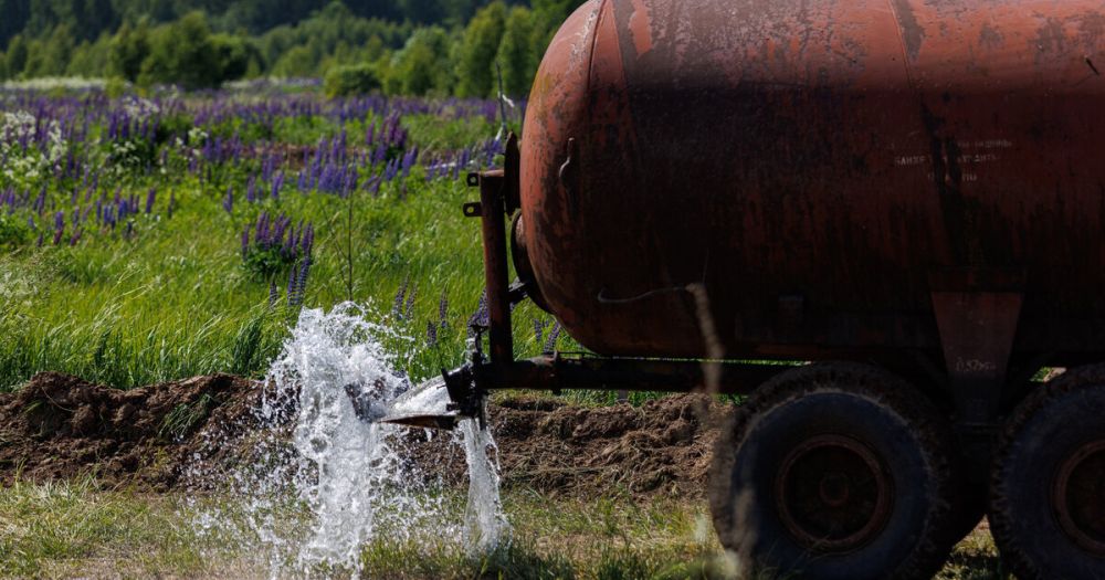 � �������� �������� ���� ������� ������������ ��������