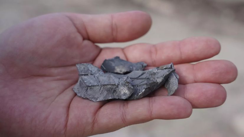 ������: ��� ���������� ���� ����� ������ ������