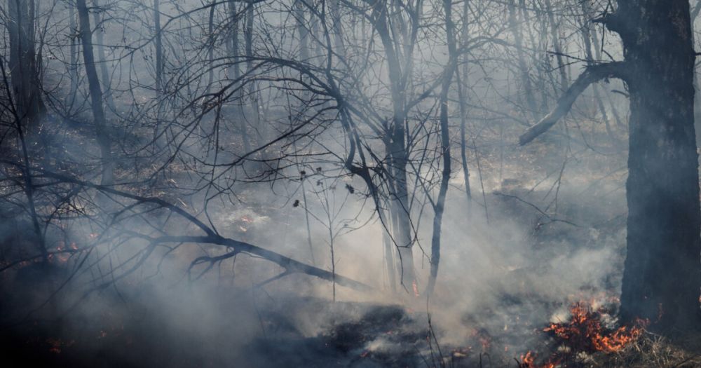 � ���������� ������� ��-�� ���� ���������� �����