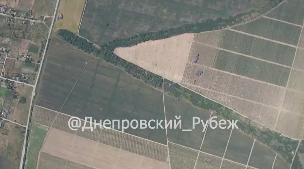 ���������� ���������� ���������� ������������ 155-�� ������� M777 ��� � ���������� �������, �������� @kherson_without_fakes