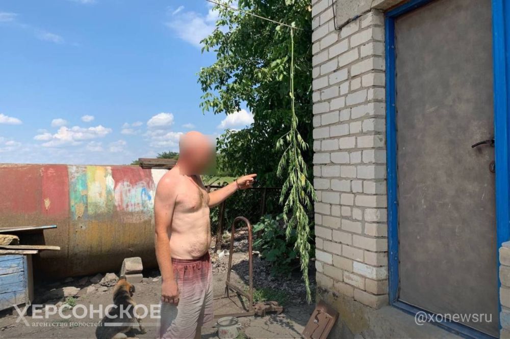 ����������� ���������� 13 ������ ������� � ������ ����������