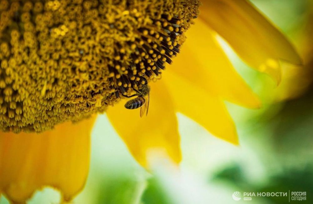 ������ �� ����� ����������� ������