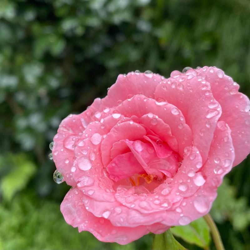 ������� � ������������� �� �� ������