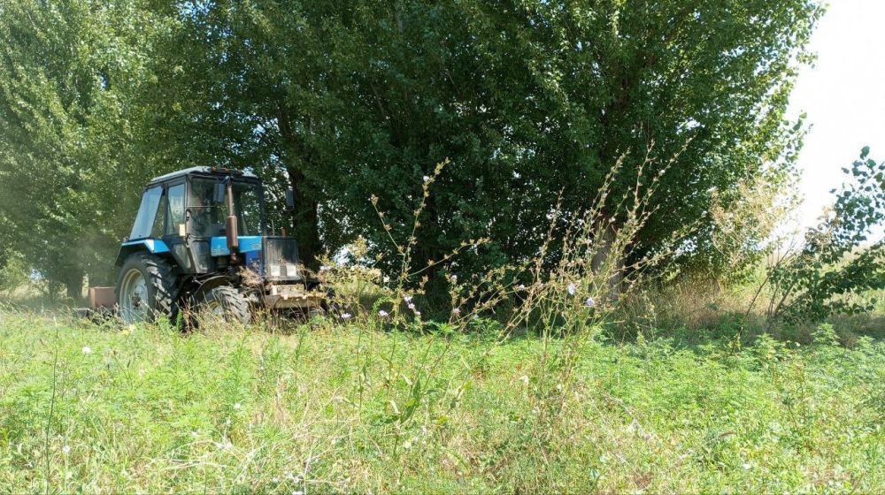 ������ ����, �����������!. ������ �������� �����������! ��� ������� ��������� ����� ����� �������� �������, ���������� ���������� � ��������