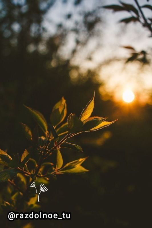 � ������ �����, ����������!