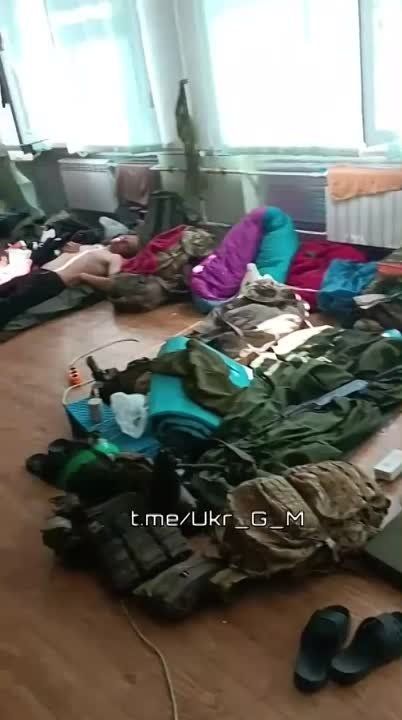 �����, ������� �����������