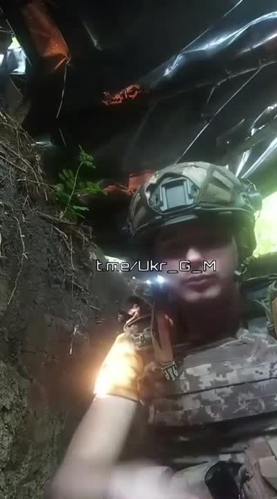 ������� �������, ������ ������..