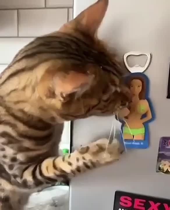 � ����� �������� � ���� � ���������, � �� ����� ���������� �� �����..