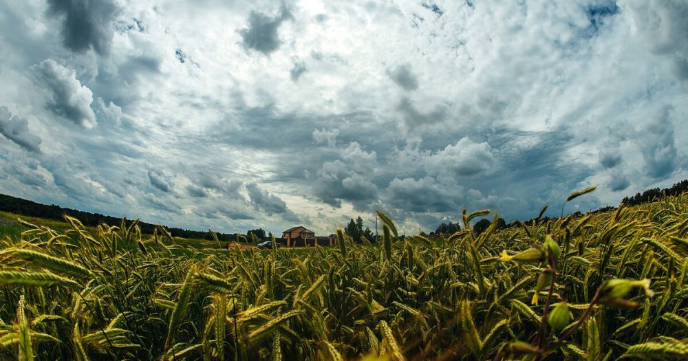 ������������� ���� �������������� �� ����������