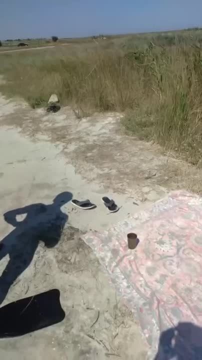 �������� �����: ������� ��� ������� 12 �������� �� ����� ����� ������ ������, ����������� ����� �������� � ���������� ��������