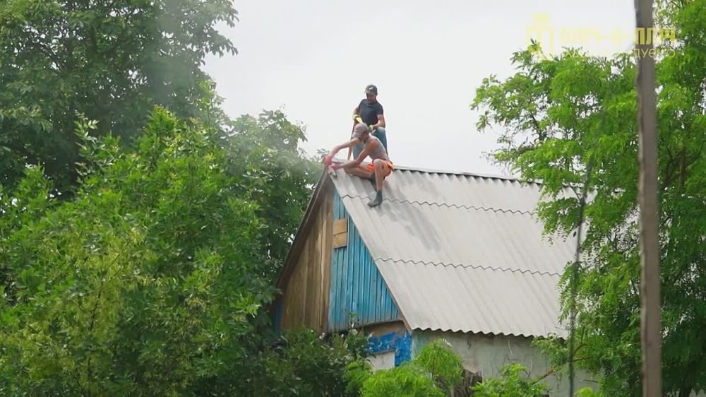 � �� ��� ������.... � ������ ������� "���-�-����, ��������������� ���������, ���� �������������� ����� � ����������