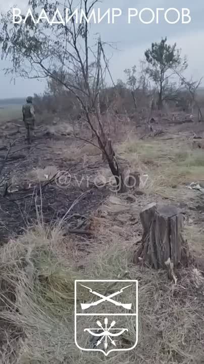 �������� �����: ������� ���������� ���� - ����� � ��������� ��� ��������