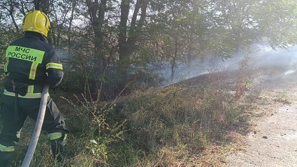 �� ��������� ����� �� ���������� ���������� ������� �������� 22 ������ ���������� ���������, ������������� ���������� ����� �������� 88,87��