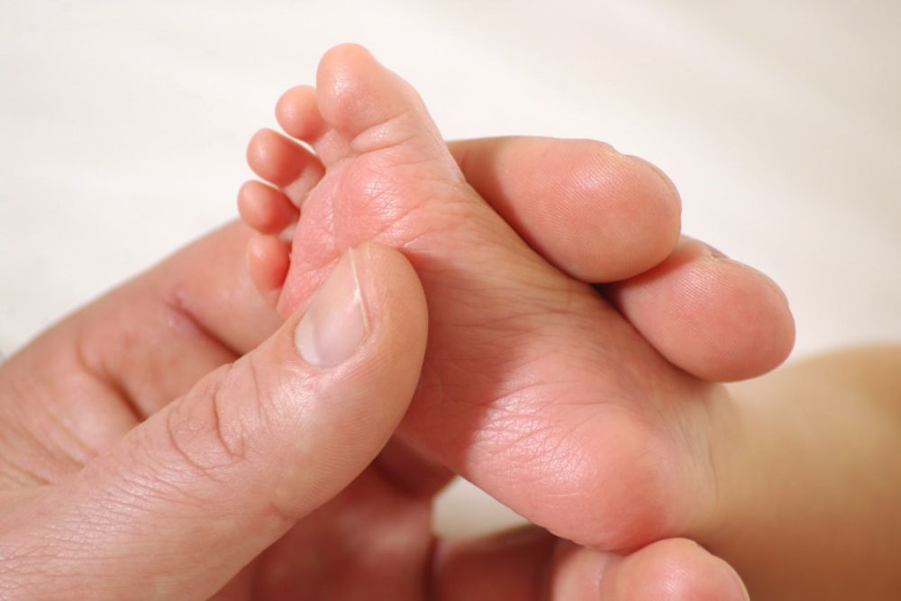 �� ����� ������ ���������� � ���� ���� �������� ����� 420 �����