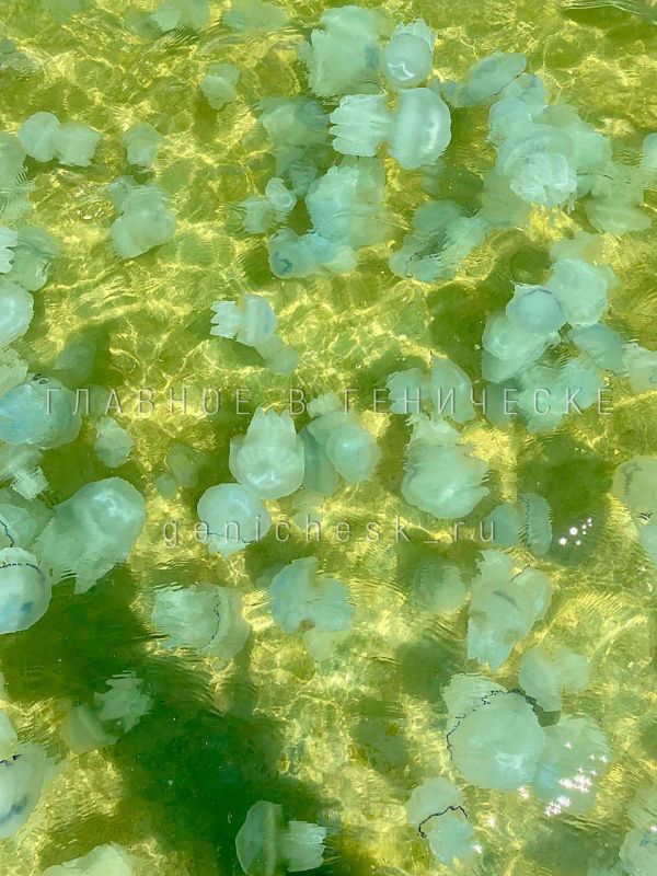 �������, ������, ���������� ���� � �������� �������� ������� ��������� ������� ���������� �� �������� ����