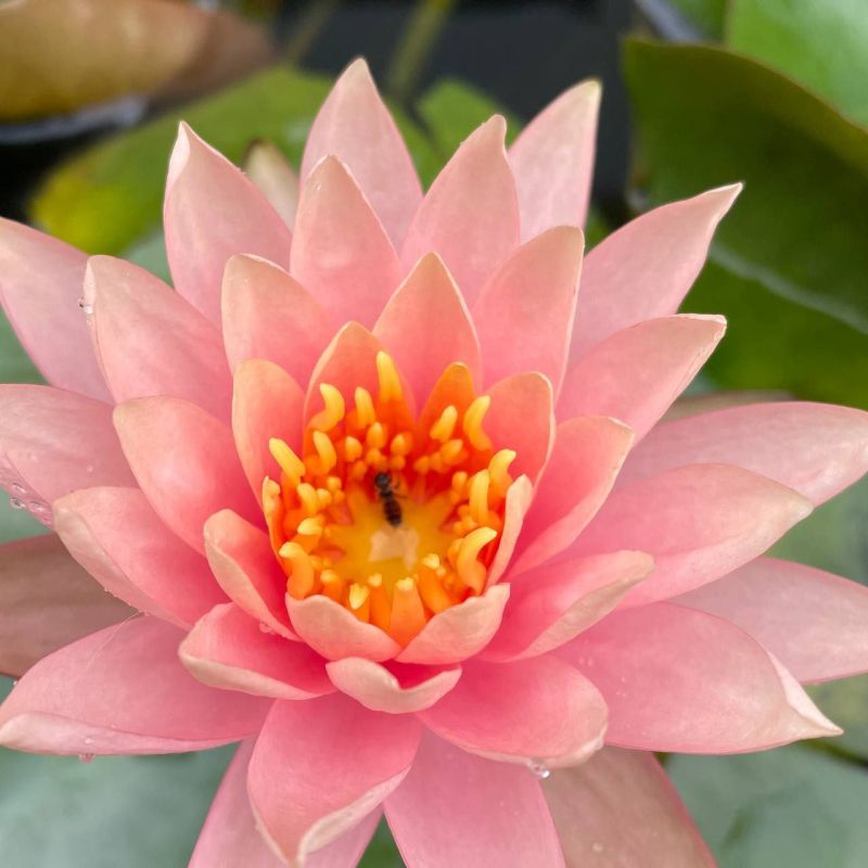 � ������ �����, �����������!