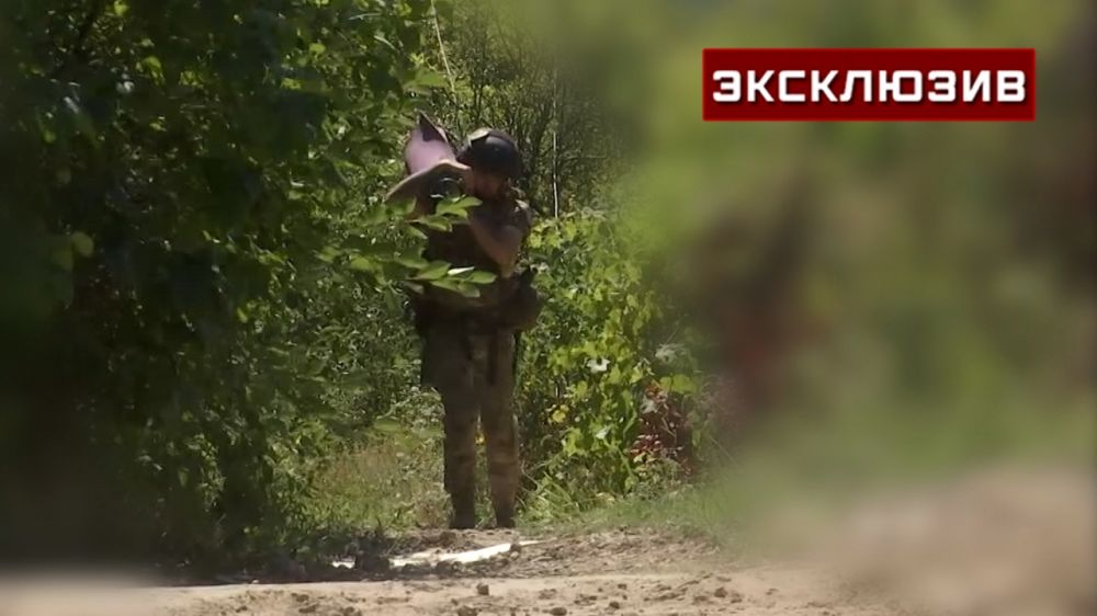 �� �� �� ��������� ����� ����������� ���� ����� �������� ��������� �������������