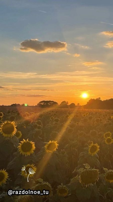 � ����������, ����� �����! ����������!