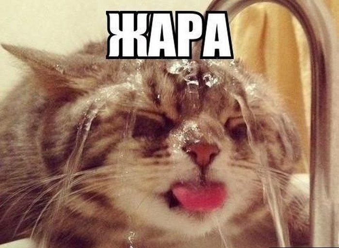 � ���������� �������� ������ ��������� ������������ ������� ����������� � ��������� ���