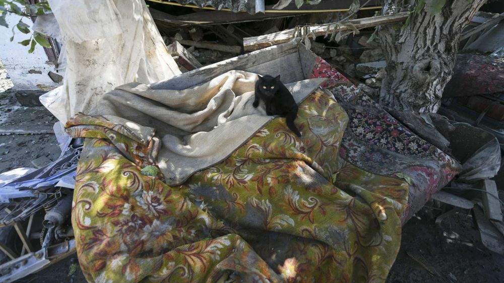 ����� 70 ��������: ��� ���������� ��������� ������ ������ ����������