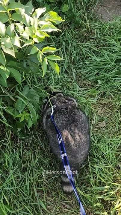 ���� �� �������: �������� ���, ������! ��� �� ����� �������� ��������� ���� ������ �� ���� ����� �� ���������