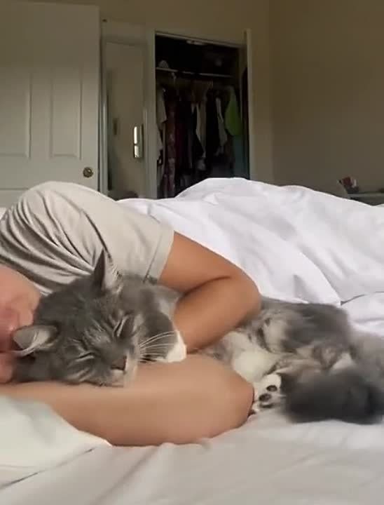 �� ���, ������, ����� �� ������, ���� � ���������