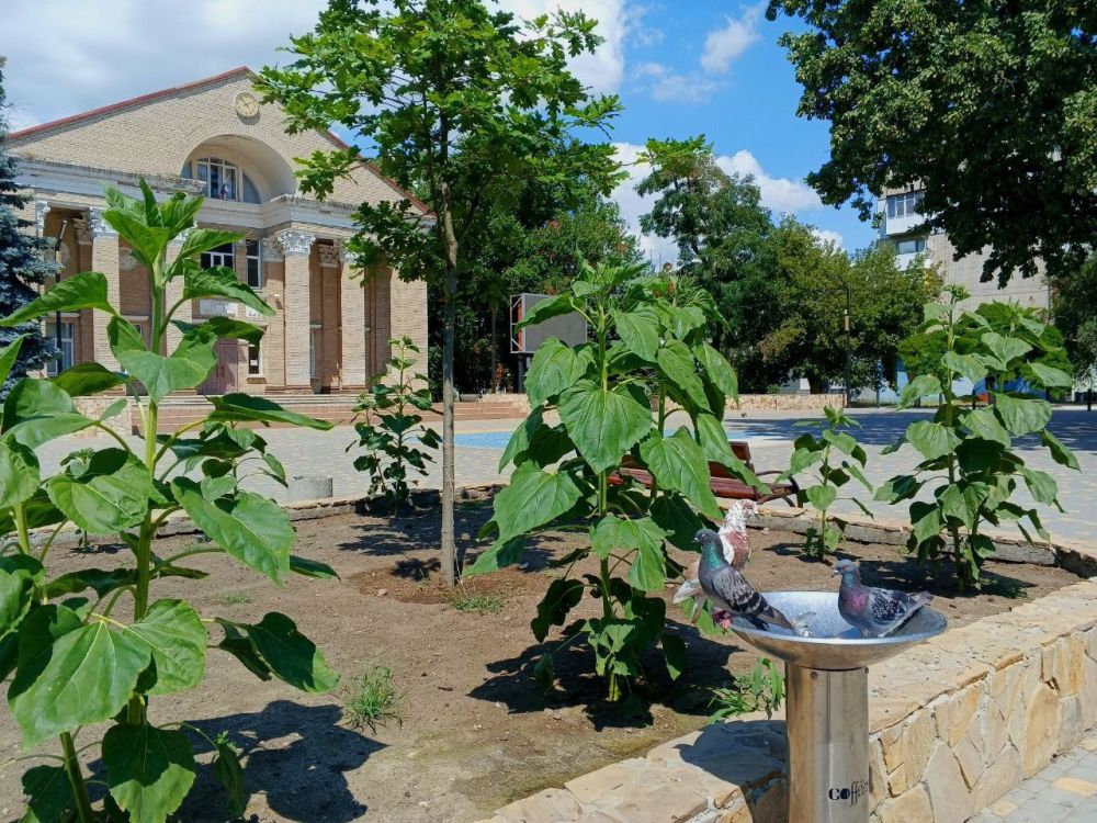 ������ ����, �������!. @VGA_Kakhovka