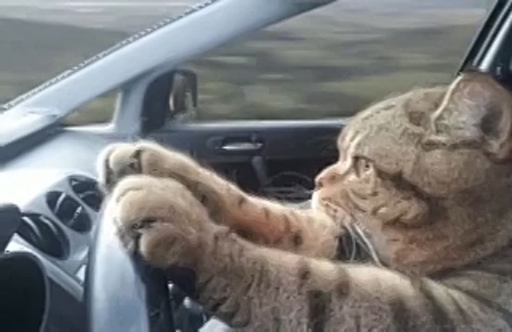 ������ ����!. ��������� ����������� � ���������� ���������� � ���� ���������� � ���� ������ ������� �� ������ �� ���� ������...