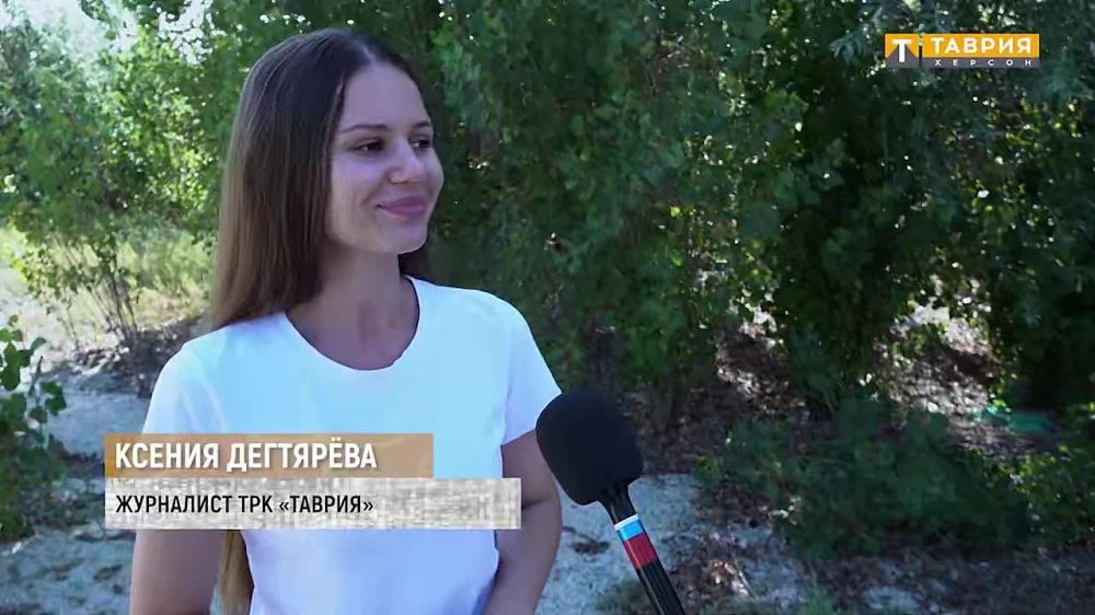 12 ��������������� ��� "������" ��������� ���� ����������� ��������� ����� ����������� ������