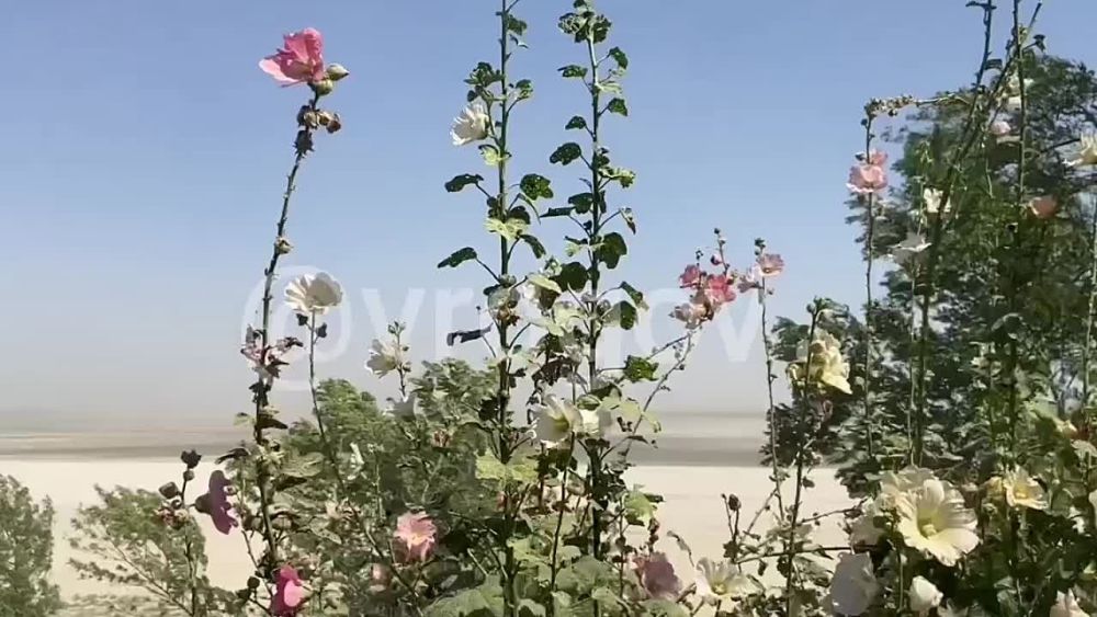 ���������� �� ������� ������
