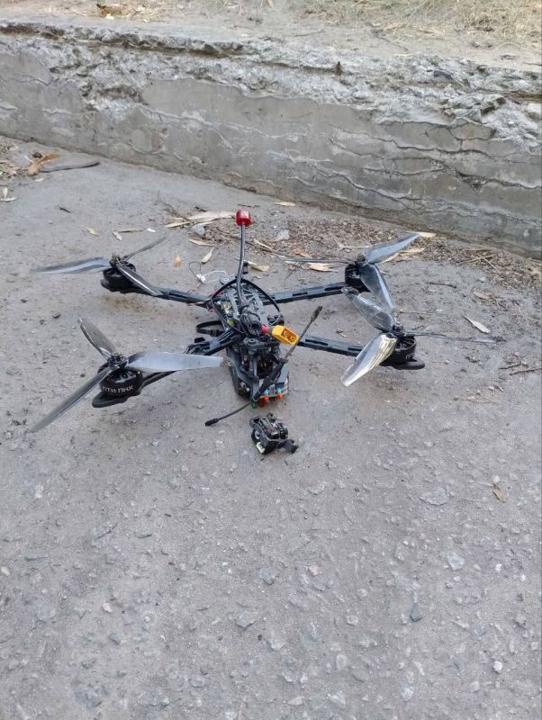 � ���������� ����������� ���������� ���� �� �����������.����������� �������� � ������� ����