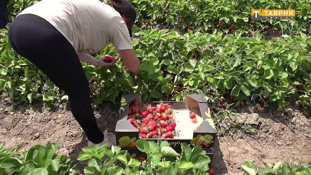 � ���������� ������� ��� ������ ���������� � ����� �������� �� ��������� ���