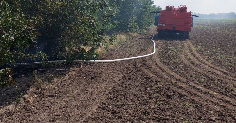 � ������������� ������ ����������������, ����� ����� ���, ���������� ����������