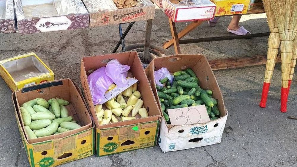 � ������� ������� ���������� ������� ������ �������