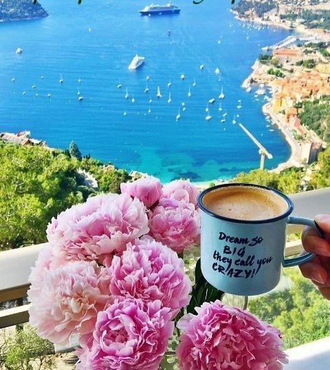 ������ ����. ������� ����� ������ � ������� ����� ����������� �� ���������� ����� ���. ��� �������. ����������� �� +14 ����� �� +27 ����