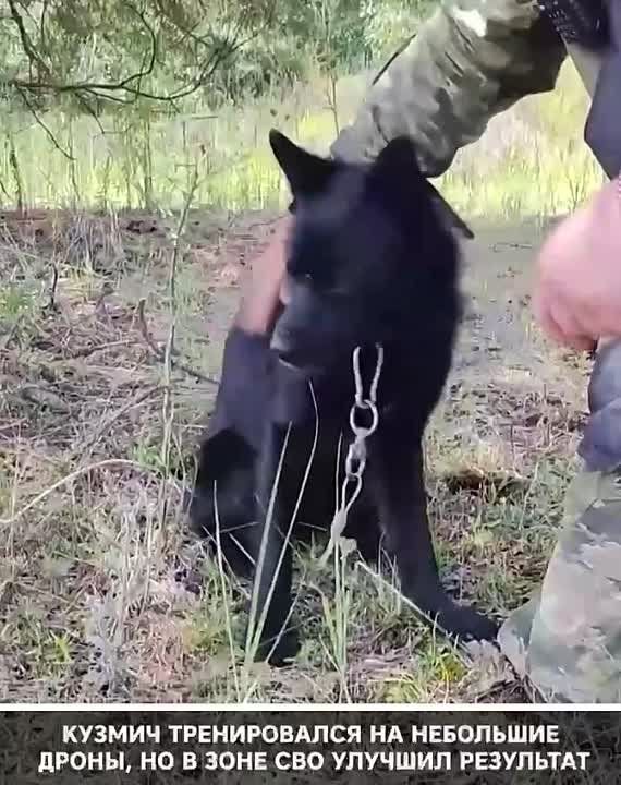 � ����� �������������� �������� ����� �������� �������� � ������-�������� ������