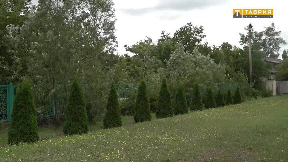 � ���������� ������� �������� ����� �������� ��������� ���� � ���� ����� ���������