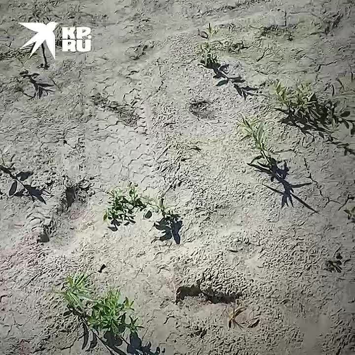 ��������� �������������, ������� ������ ��������� ������