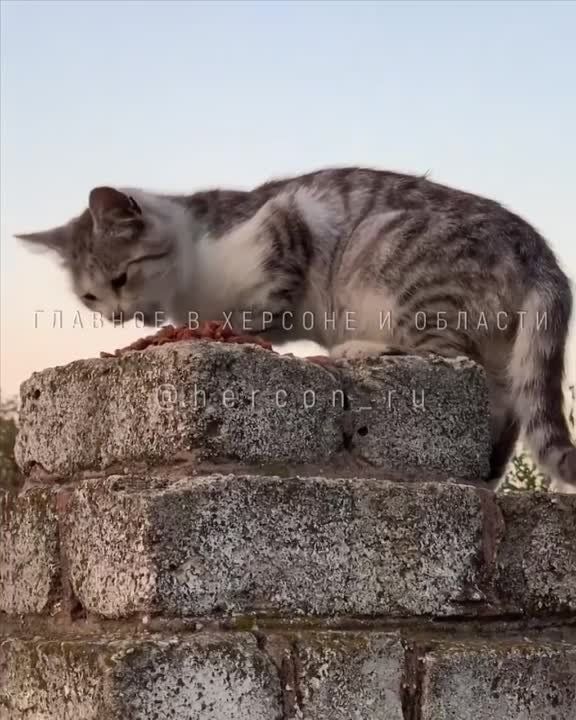 ������ ����������� ����� � ������� � ��� ����� �������� ������ ��������� �������� ��������� ��������