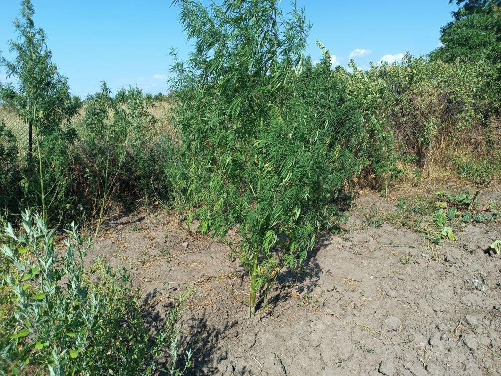 � ���������� ������� ����������� ������ � �������� ������ ��������� � ����� �������