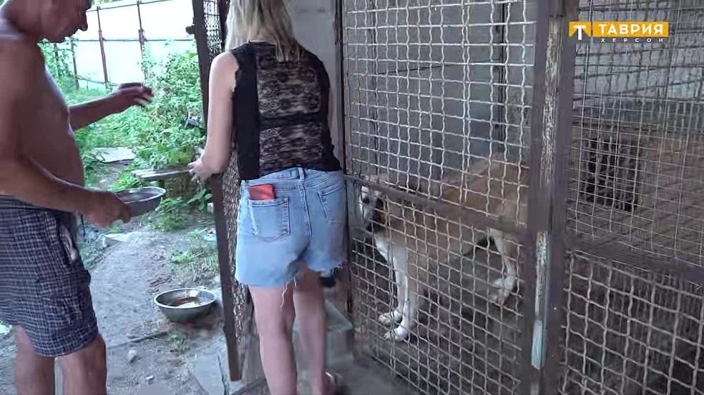 � ��������� �������� ������ ������ ��������� �������� "�����"