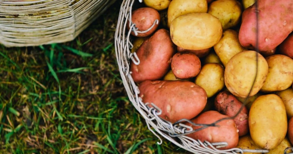 � ���������� ������� ����������� ������ �� ��������� �������� ��� ������������-�������������� ��������� � ������